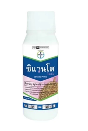 ซิแวนโต 500CC*20