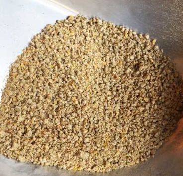 1/KG329 ไก่ไข่ 