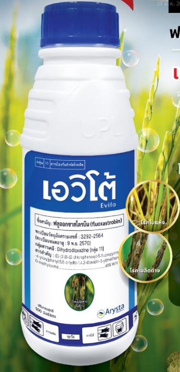 เอวิโต้100ML*100