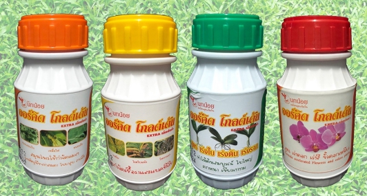 ออร์คิด โกลด์เด้น270CC*48