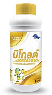 มิโกลด์1L*12