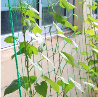 ตข.โครงไม้เลื่อย1.8X8M