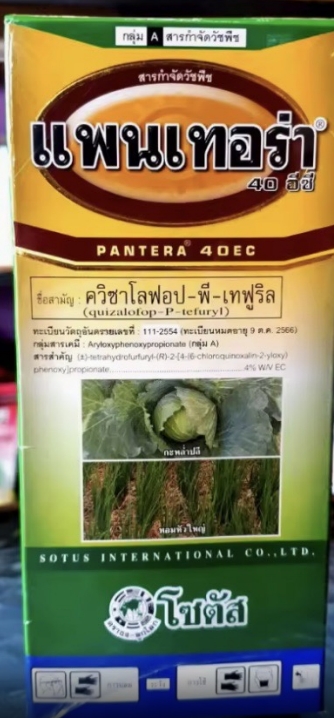 แพนเทอร่าโซตัส500CC*12