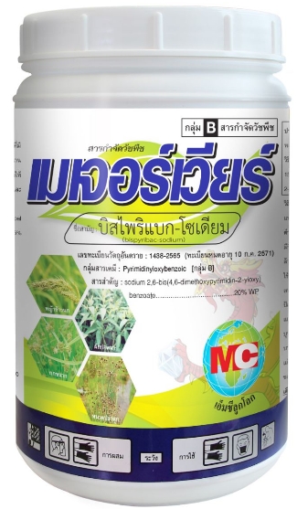 เมเจอร์เวียร์เอ็มซีลูกโลก100G*24