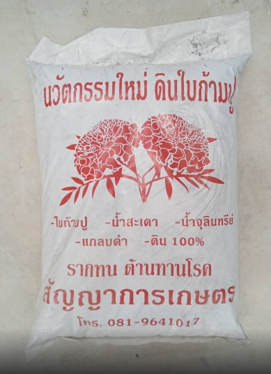 ดินปลูกใบก้ามปู