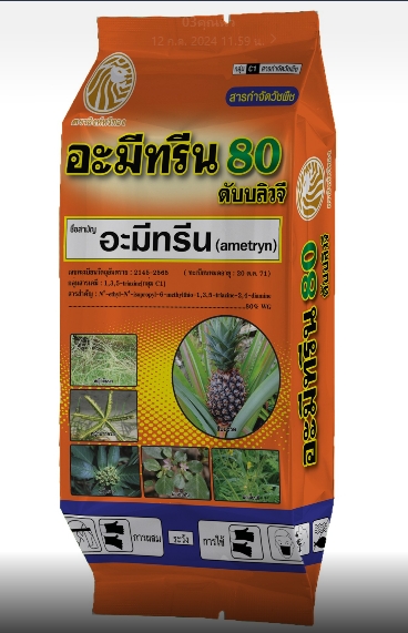 อามีทรีน80เม็ดดับเบิ้ลยูจี ซิดนีย์1KG*20