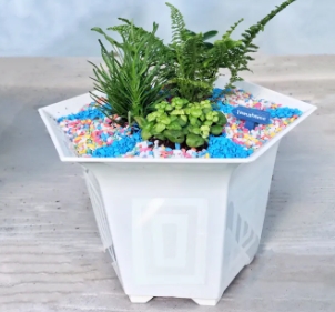 กถ.ปากแตร9"