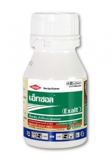 เอ็กซอล 250CC*24