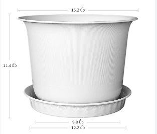 กถ.ถ้วยจีน+จานคละสี15"