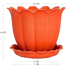 กถ.บิวตี้+จานคละสี12"