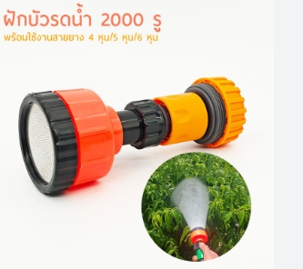 ฝักบัวรดน้ำ2000รู