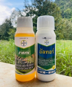 อัลทอร์+ฮาสเทน500CC*10