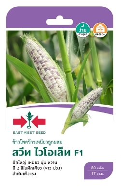 ขพขน.สวีทไวโอเล็ทF1ศรแดงGG*300