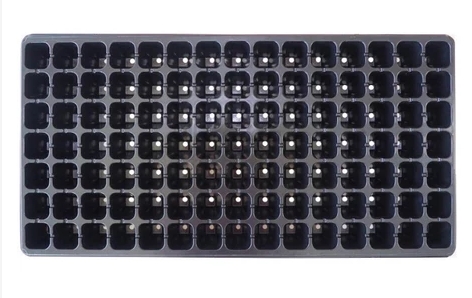 ถาดเพาะ105หลุม0.7MM