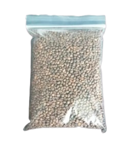 ผักบุ้งจีน500G