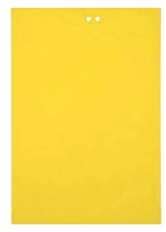 กาวดักแมลงวันทองเหลือง 15X20CM