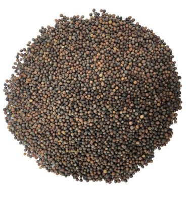 คะน้ายอด200G