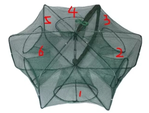 ตข.ดักสัตว์เหลี่ยม 6ช่อง 