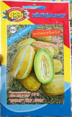 แตงไทยลูกยาวสิงห์คะนองนา333
