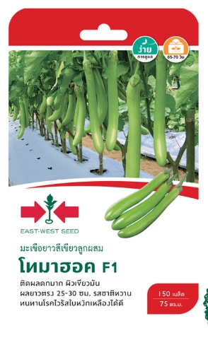 มะเขือยาวเขียวโทมาฮอคมะเขียวF1ศรแดงGG*600