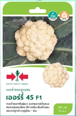 กะหล่ำดอกเออร์รี่45 F1ศรแดงGG*600