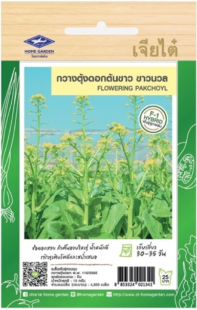 กวางตุ้งดอกต้นขาว ขาวนวลF1เจียไต๋*100