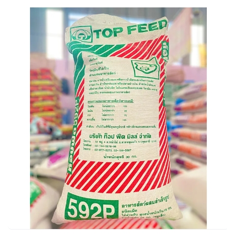 592P หมูเล็กเม็ด