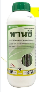 ทานชิ1L*12