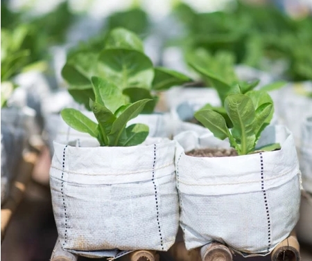 ถุงปลูกผักแสนดี10X20