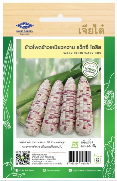 ขพขน.แว็กซี่ไอริสF1เจียไต๋*100