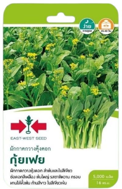 กวางตุ้งดอกกุยเฟยOPศรแดงGG*600