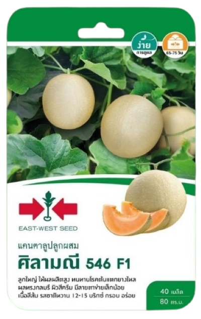 แคนตาลูปศิลามณี546F1ศรแดงGG*600