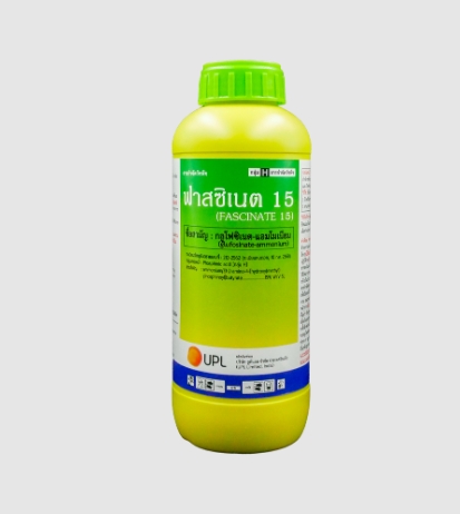 ฟาสซิเนต15 1L*10