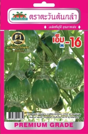 มะเขือเปราะเอ็ม-16F1AV