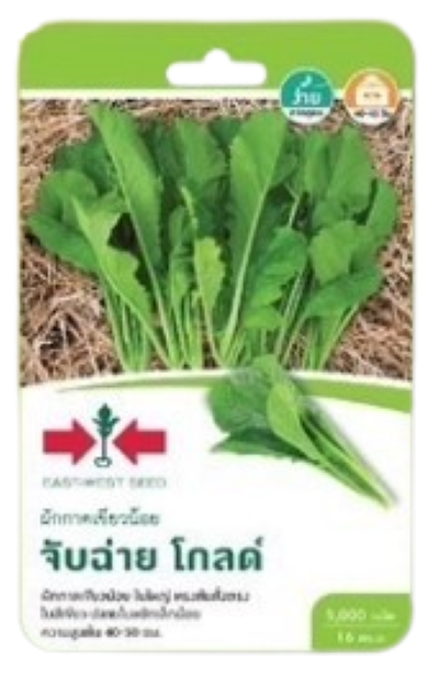 เขียวน้อยจับฉ่ายโกล์OPศรแดงGG*600