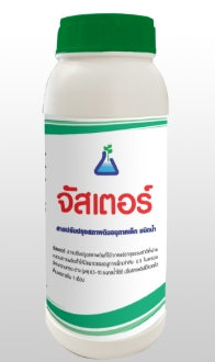 จัสเตอร์1L*12