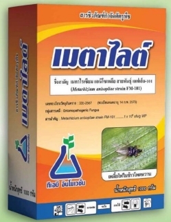 เมตาไลต์1KG*20