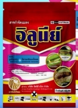 อิลูนีย์100G*120