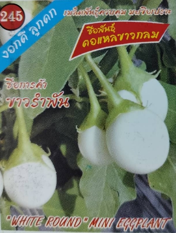 มะเขือตอแหลขาวกลมขาวรำพัน