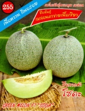 เมล่อนโซดะตาข่ายเนื้อเขียว333