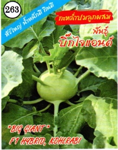 กะหล่ำปมบิ๊กไจแอนด์333