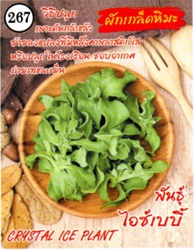 สลัดเกล็ดหิมะไอซ์เบบี้333