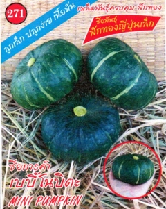 ฟักทองญี่ปุ่นเล็กเบบี้โนบิตะ333