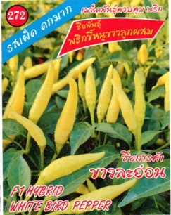 พริกขี้หนูขาวขาวละอ่อน333