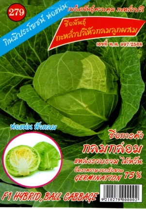 กะหล่ำปลีกลมกล่อม333