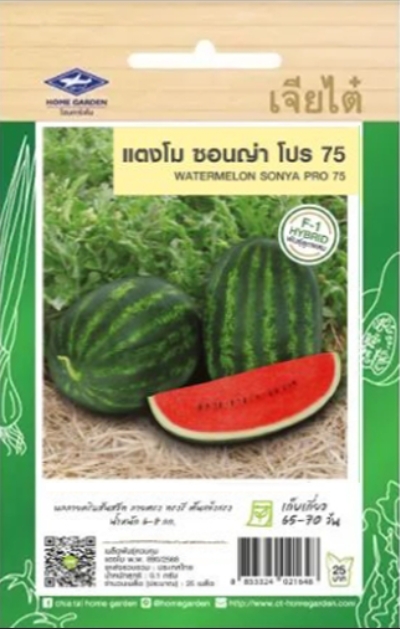 แตงโมซอนญ่าโปร75F1เจียไต๋