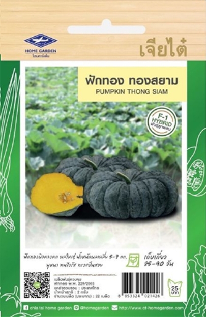 ฟักทองทองสยามF1เจียไต๋*100