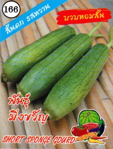 บวบหอมสั้นมิ่งขวัญ333