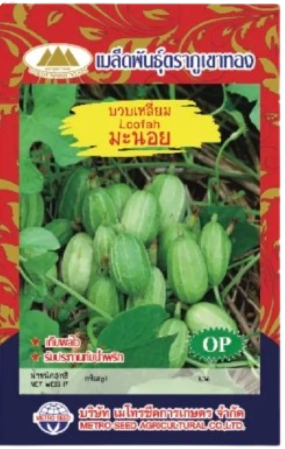 บวบเหลี่ยมมะนอยภูเขาทองOP*10