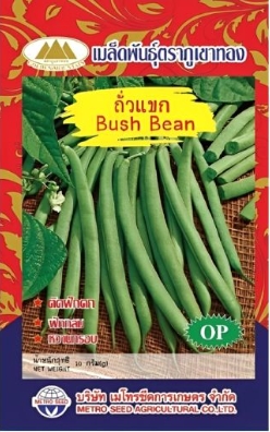 ถั่วแขกภูเขาทองOP